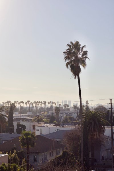Will Buyers Find Opportunities Amidst the Steady Median Home Price of .09 Million in Los Angeles in 2026? - Los Angeles - 1