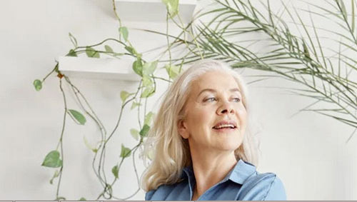 The Key Features of MYGA: Fixed Interest + Tax-Deferred Structure - Burbank - 1