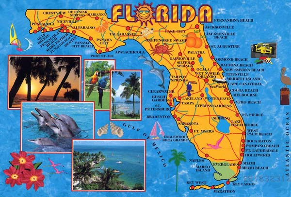  탬파는 모든것이 “적당해서 좋다”로 설명되는 도시 - Tampa - 1