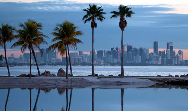 마이애미 해변을 따라 줄지어 서 있는 팜트리 이야기 - Miami - 1
