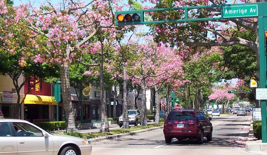 풀러턴에 정착할 때 장점과 단점을 정리했습니다 - Fullerton - 1
