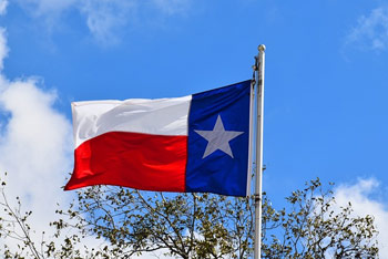 텍사스로 이사하기 전에 꼭 알아야 할 10가지 팁 - Texas - 1