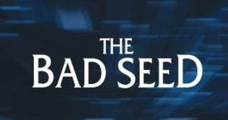 "씨가 달라" vs "Bad Seed" 같은 이야기인데 방향이 정반대 - New York - 1