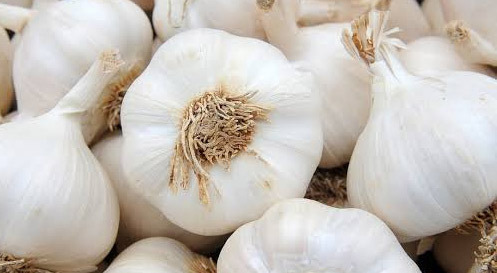 The Garlic Component Allicin Holds the Key to Our Body's Energy - Savannah - 1