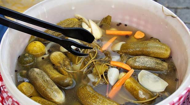 음식의 기름짐과 느끼함을 잡아주는 Pickled cucumber - New York - 1