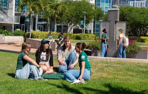 탬파 University of South Florida (USF) 소개 - Tampa - 1