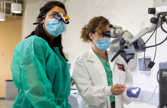 Even with a High Salary, Was It This Much? A Shocking Story About Dental School Tuition - Anaheim - 1
