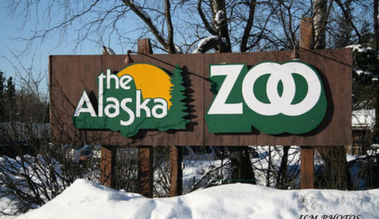Have You Been to the Alaska Zoo? - Anchorage - 1
