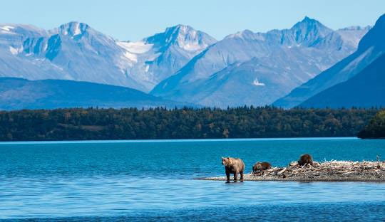 미국의 환경 정책과 알래스카의 자연보호 정책 - Alaska - 1