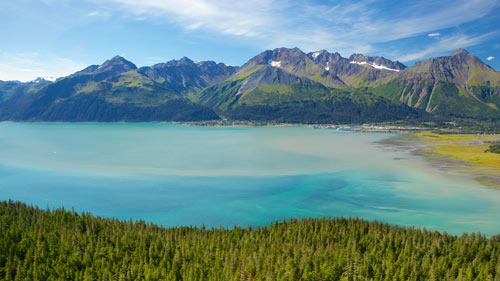 Buying and Owning Investment Land in Alaska - Alaska - 1