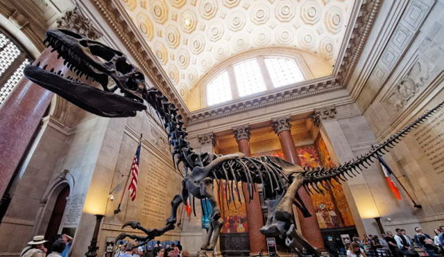 I Visited the American Museum of Natural History - New York - 1