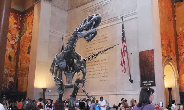 I Visited the American Museum of Natural History - New York - 2