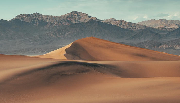 The American Desert Boasts a Variety of Colors in Every Background - Savannah - 1