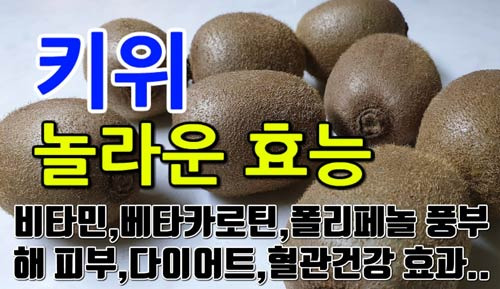키위가 어디에 좋다는 거야? 알고 먹으니 달라 보이네요 - Atlanta - 1