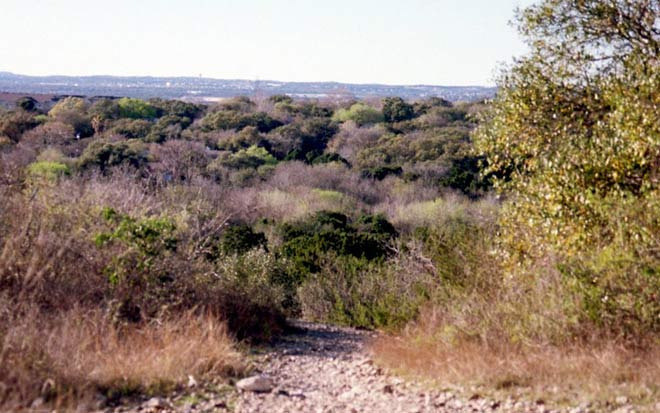 샌안토니오는 도시 속에서 시골을 만날 수 있다 - San Antonio - 1