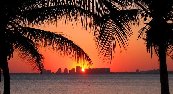 There Are So Many Must-Visit Places Near Tampa Every Weekend - Tampa - 2