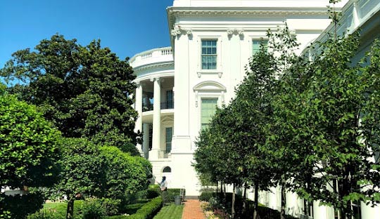 워싱턴 D.C.의 연중 날씨와 특징 - Washington - 1
