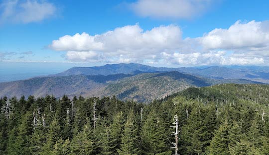 노스캐롤라이나(North Carolina)의 연중 날씨 - North Carolina - 1