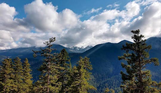 Weather and Average Temperatures in Washington State Throughout the Year - Washington - 1