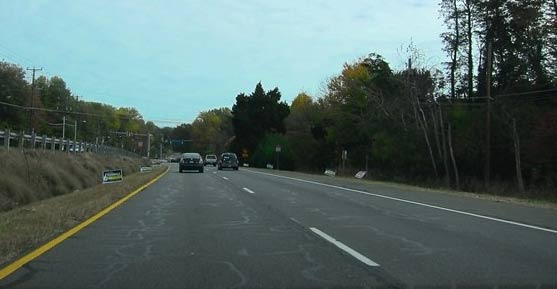 Population and Ethnicity of Annandale: The Essence of a Melting Pot - Annandale - 1