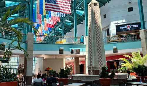 샌안토니오 이사와서 느낀 샌안토니오 정착의 장단점 - San Antonio - 1