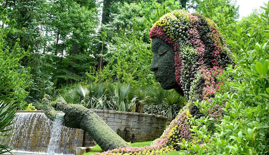 애틀랜타 식물원 (Atlanta Botanical Garden) 정보 - Atlanta - 1