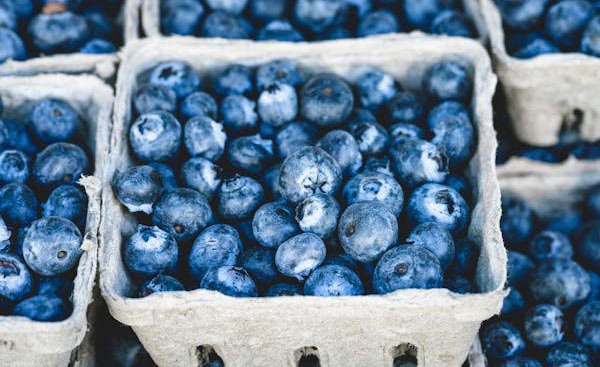 Are Superfoods Really the Best Choice for Health? - Los Angeles - 2