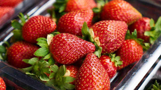 Discovering the Top 3 Strawberry Producing Regions in the United States - California - 1