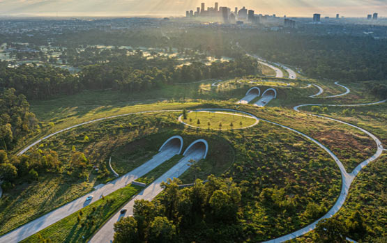 휴스턴 공원 메모리얼 파크부터 버팔로 바이유 파크까지 - Houston - 1
