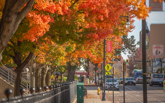 동북부의 작지만 존재감 강한 주, Massachusetts - Burlington - 2