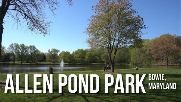 호숫가 산책이 있는 앨런 폰드 파크 (Allen Pond Park) - Bowie - 1