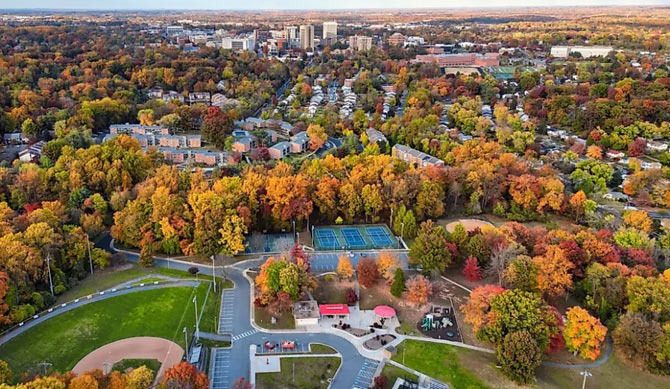 A Year of Weather in Rockville with Distinct Four Seasons - Rockville - 1