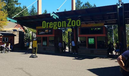 Oregon Zoo: The Perfect Guide to Portland Zoo - Portland - 1
