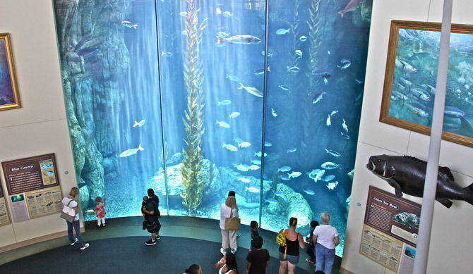 Aquarium of the Pacific - Irvine - 1