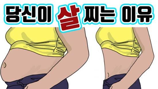 여자나이 40대, 다이어트는 ‘빨리’보다 ‘꾸준히’가 답인것 같네요 - San Jose - 1