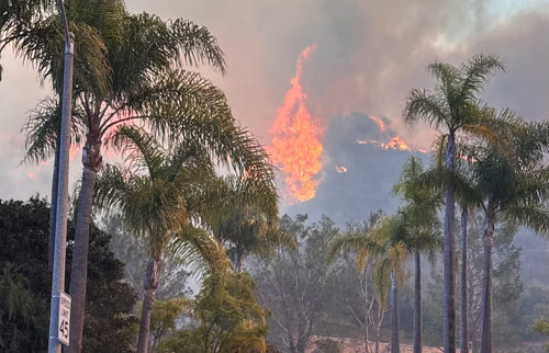 Palisades Fire, Worst Case Scenario 'Perfect Storm' - Los Angeles - 1