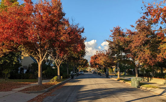 Pasadena, Known as the 'Garden City' from the Start - Pasadena - 1