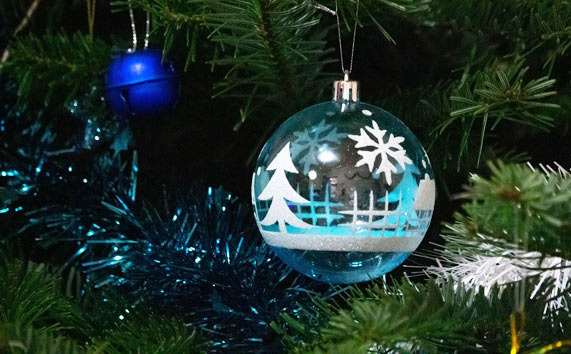 Decorating a Christmas Tree for Instagram Vibes - Long Beach - 1
