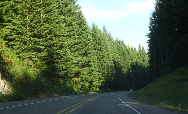 The Story of Highway 26, a Road that Follows the Face of Oregon - Oregon - 1