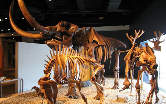 The Indiana State Museum, which was fun due to its diverse exhibits - Indianapolis - 2