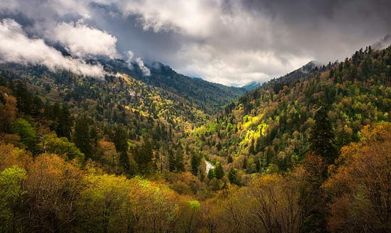 Curious Why Tennessee is Called the 'Volunteer State'? - Tennessee - 1