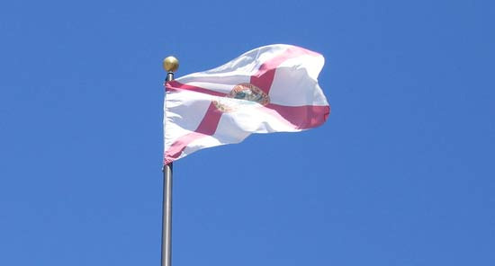 플로리다 깃발의 빨간 X를 볼때마다 웃음이 납니다 - Florida - 1