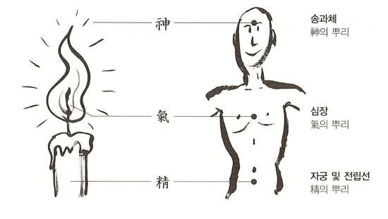 Jeonggisin (正氣神), The Center of Life That Becomes More Important as You Age - Queens Village - 2