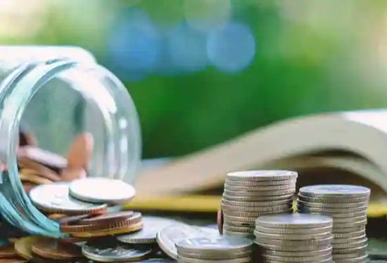 How Immigrant Families Can Secure Grants for U.S. Colleges - Palisades Park - 1