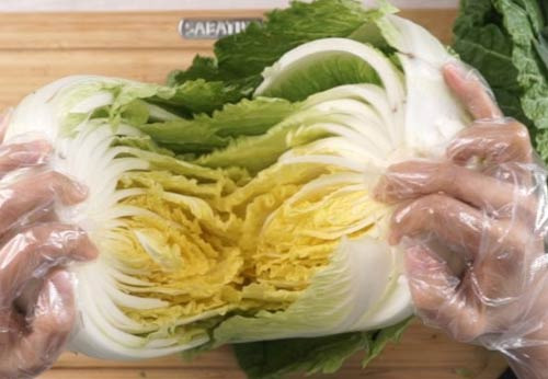 김치 고수는 배추부터 잘고른다, 실패 없는 김치 담그는 법 - Santa Monica - 2