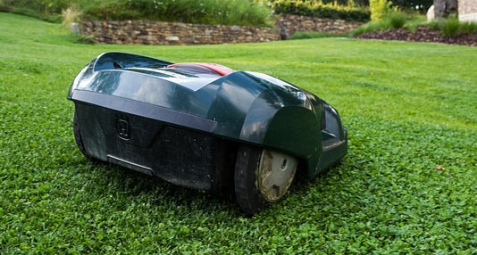 If You Live in a House, Mowing the Lawn is Not an Option but a Necessity - Federal Way - 1
