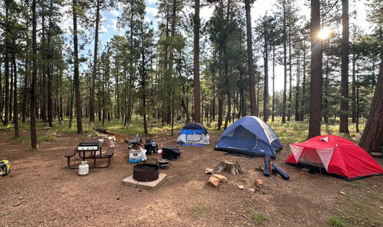The Fact That You Can Camp Year-Round in Phoenix - Phoenix - 1