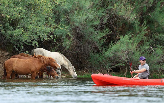 The Fact That You Can Camp Year-Round in Phoenix - Phoenix - 2