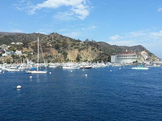 A Trip to Catalina Island by High-Speed Ferry from Long Beach - Long Beach - 1