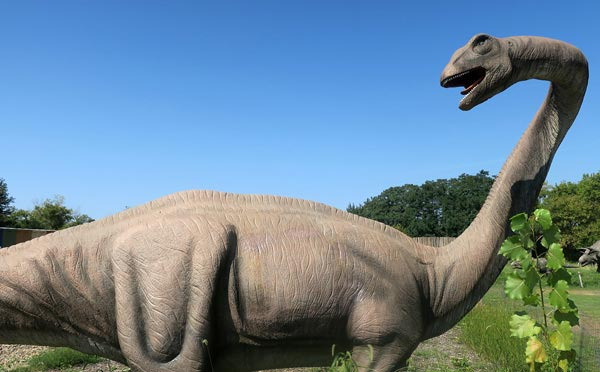 Theme Park Field Station: Dinosaurs Where You Can See and Experience Dinosaurs - Leonia - 2